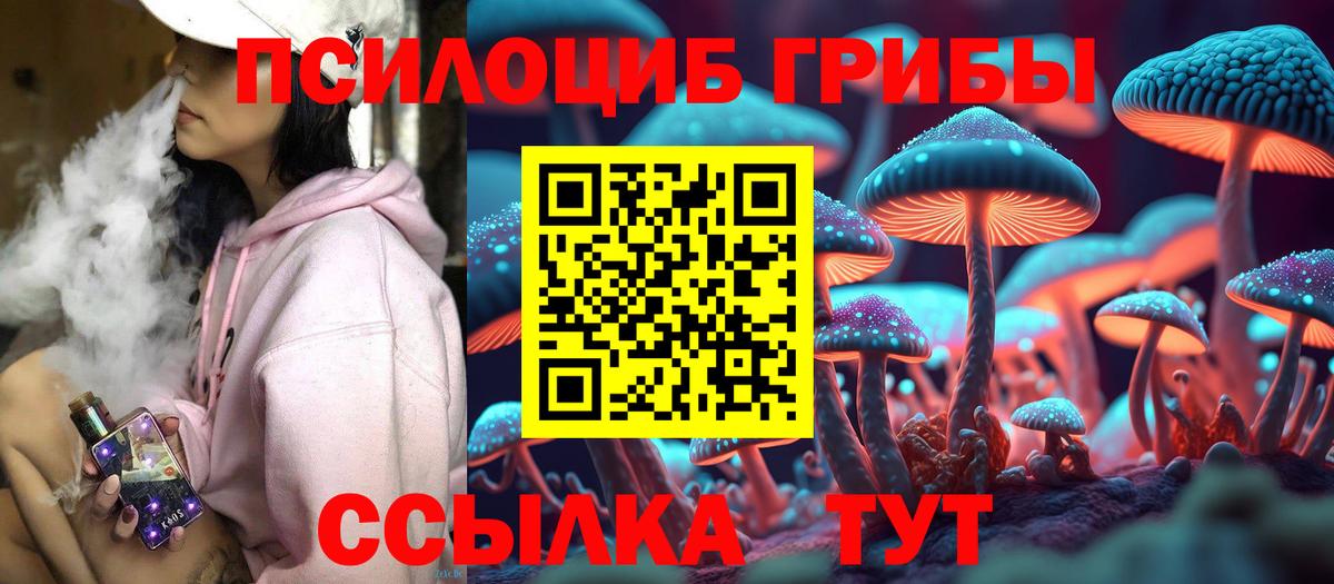 Бугуруслан  Галлюциногенные грибы GOLDEN TEACHER  Вход с VPN 